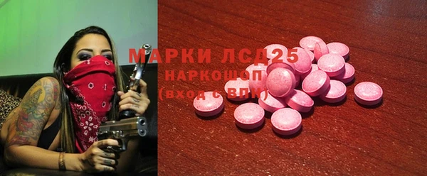 прущие грибы Пересвет