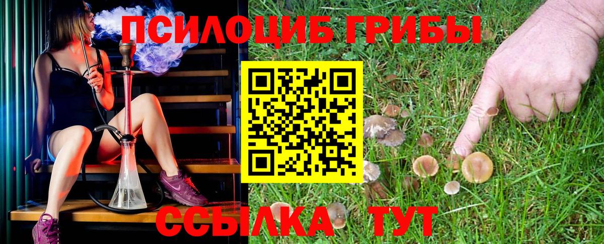 ГАШИШ  Бийск  Альфа ПВП СОЛЬ   МДМА  МЕФ кристаллы  Канабис  Cocaine  Вход с VPN 