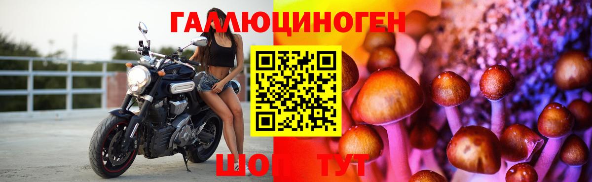 Бийск  Псилоцибиновые грибы мухоморы  Вход с VPN 